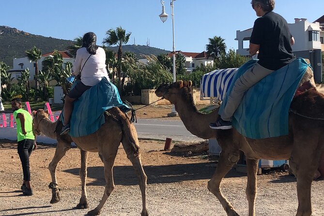 Full day Tangier Tour from Cruise or ferry from tarifa - From the Synagogue to the Former Sultan’s Palace