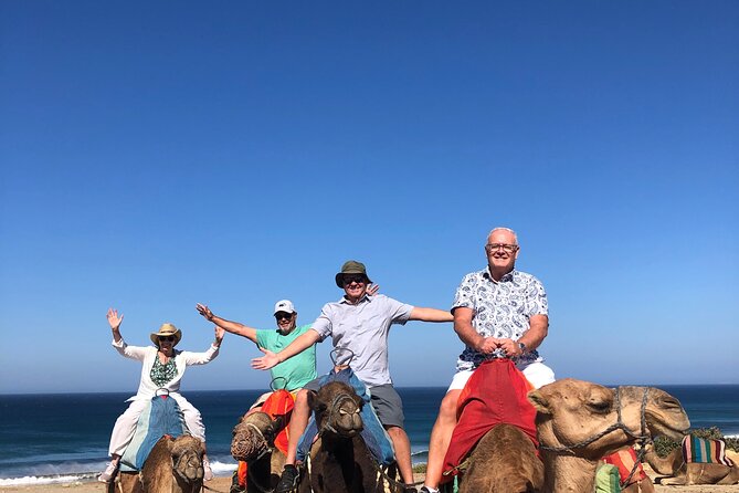 Full day Tangier Tour from Cruise or ferry from tarifa - Tangier’s Kasbah and Mendoubia Garden