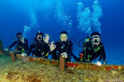 FunDiving in Cozumel – By Ferry – 2 Tanks in the wonderful Caribbean sea