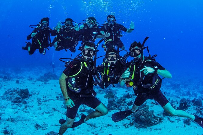 FunDiving in Cozumel - By Ferry - 2 Tanks in the wonderful Caribbean sea - What is included, and what is not