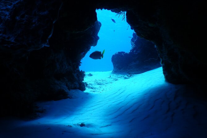 FunDiving in Cozumel - By Ferry - 2 Tanks in the wonderful Caribbean sea - Timing, safety, and practical limits