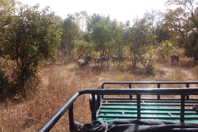 Gambia to Senegal Tour with Ferry Crossing and Safari Park - Key points before you book