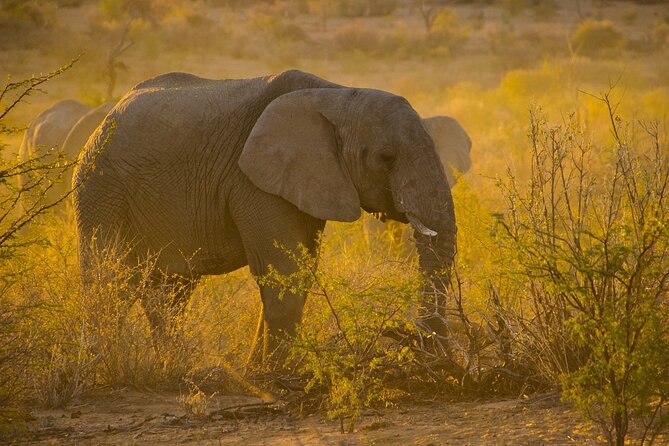 Gambia to Senegal Tour with Ferry Crossing and Safari Park - Is $148.72 good value?