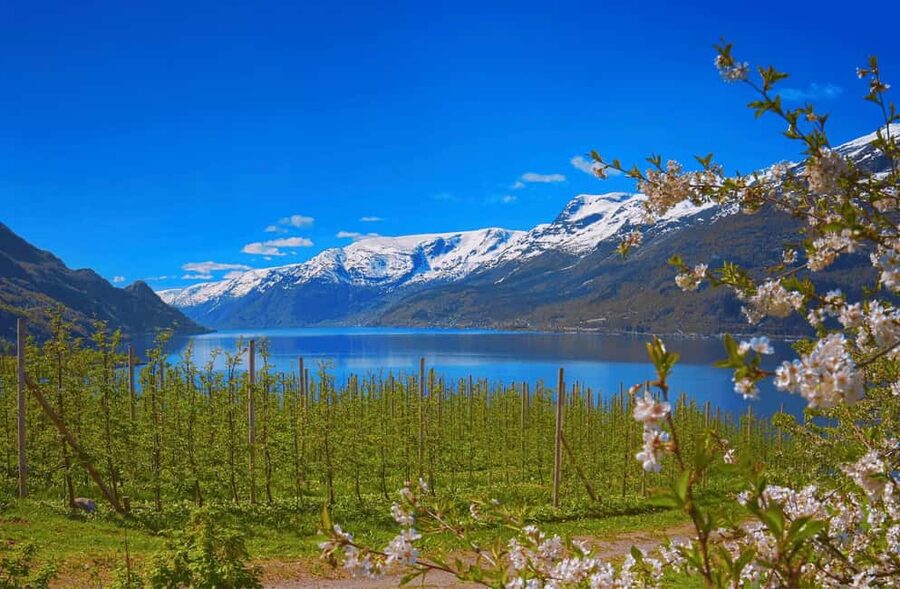 Guided tour: Hardangerfjord, Waterfalls and Ferry crossing - Meeting the minibus in central Bergen