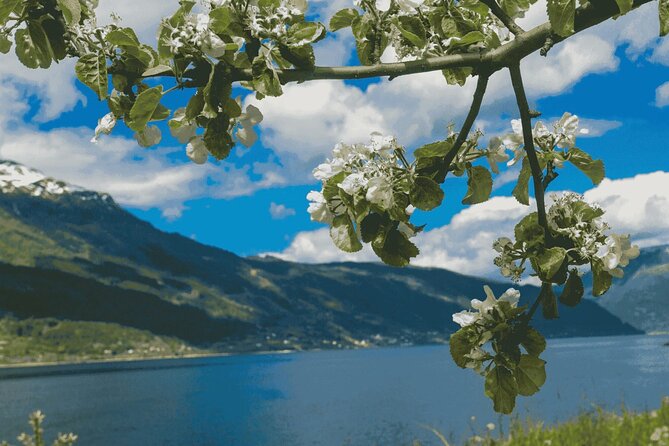 Guided tour to Hardangerfjord with Waterfalls and Ferry Crossing - Norheimsund gives you time to eat