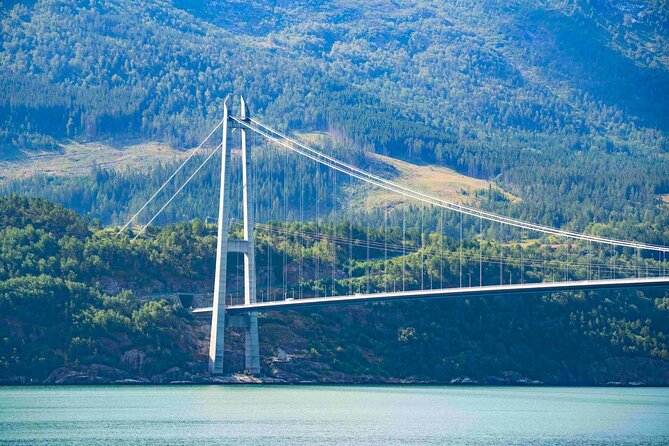 Guided tour to Hardangerfjord with Waterfalls and Ferry Crossing - Herand, orchards, and Road 550