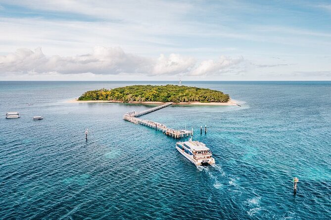 Half Day Morning Adventure - Fitzroy Island Return Ferry Included - Timing the morning so you do not miss the boat