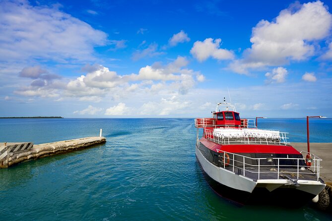 Holbox Tour with Ferry transportation and lunch included - Lunch with regional dishes
