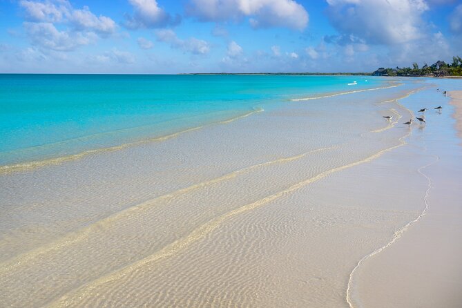 Holbox Tour with Ferry transportation and lunch included - What the $149 price buys you