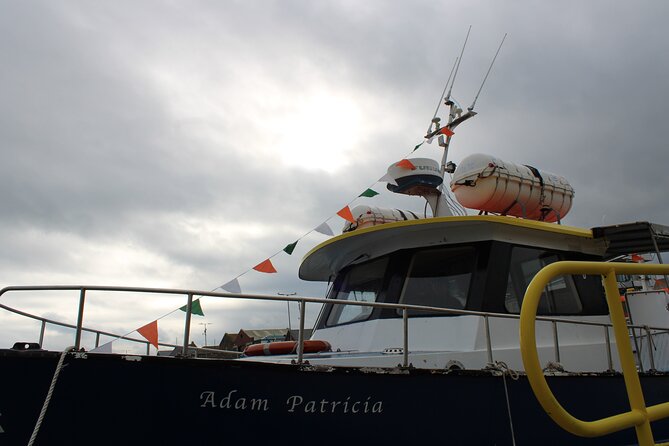 Howth Cliffs and Ireland's Eye Ferry Boat Tour - Is $24.20 good value?