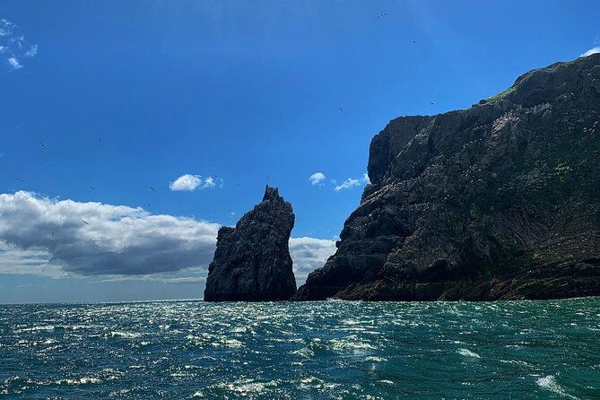 Howth Cliffs and Ireland's Eye Ferry Boat Tour - How to fit the cruise into a Howth visit