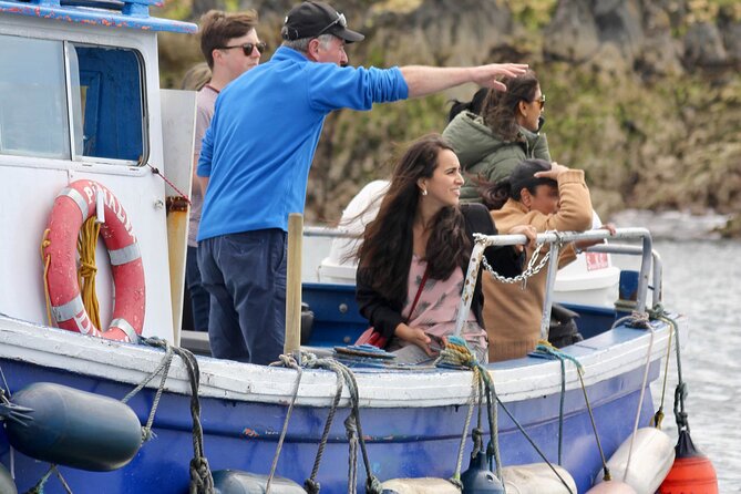 Howth Coastal Boat Tour (Ireland's Eye Ferries 50 mins trip) - Meeting the boat at Howth’s West Pier