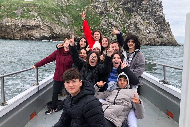 Howth Coastal Boat Tour (Ireland's Eye Ferries 50 mins trip) - Seals around the harbor and island
