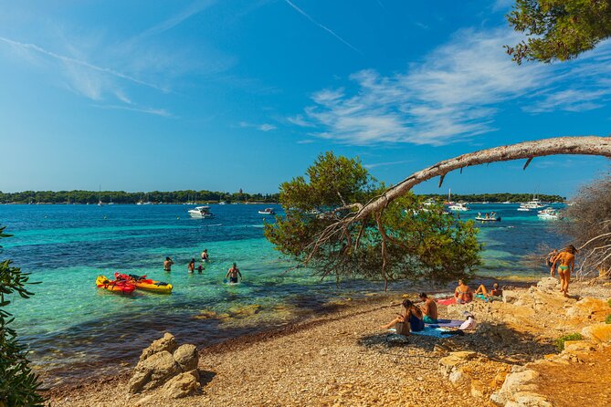 Ile Sainte-Marguerite Ferry & Corniche d'Or Cruise Combo from Cannes - Walking, birdlife, and the reality of the shoreline