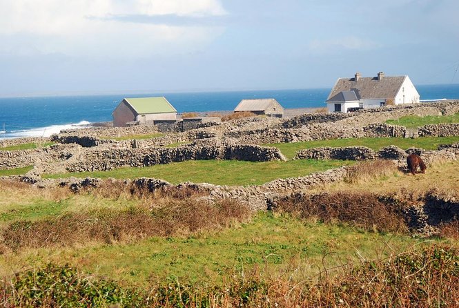 Inis Mór (Aran Islands) Day Trip: Return Ferry from Rossaveel, Galway - Key points to know before booking