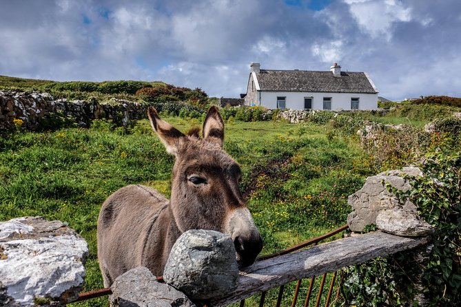 Inis Mór (Aran Islands) Day Trip: Return Ferry from Rossaveel, Galway - Why Inis Mór works so well as a day trip