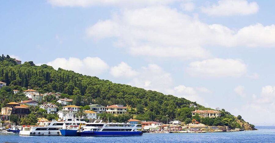 Istanbul: Round-Trip Ferry Tickets to the Princes' Islands - Arriving at Büyükada and getting your bearings