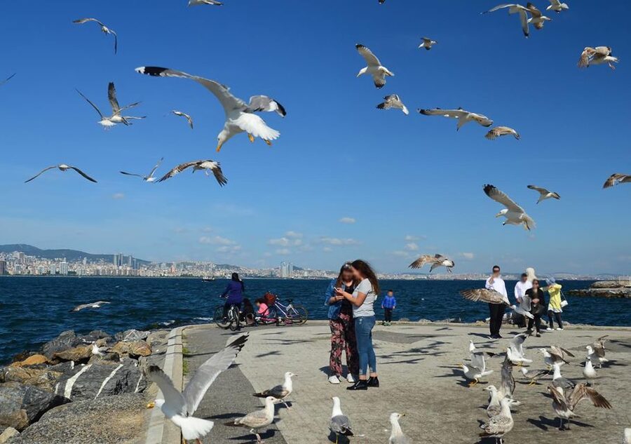 Istanbul: Round-Trip Ferry Tickets to the Princes' Islands - Climbing to St. George Church
