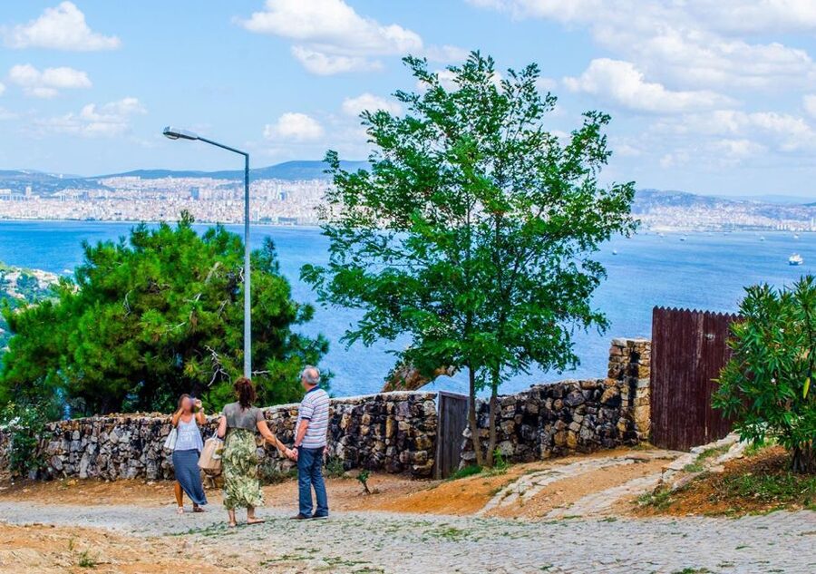 Istanbul: Round-Trip Ferry Tickets to the Princes' Islands - Is the $11 fare good value?