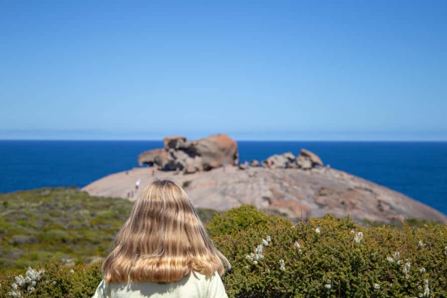 Kangaroo Island Full Day Experience by Ferry Including Lunch - Key points to know before booking