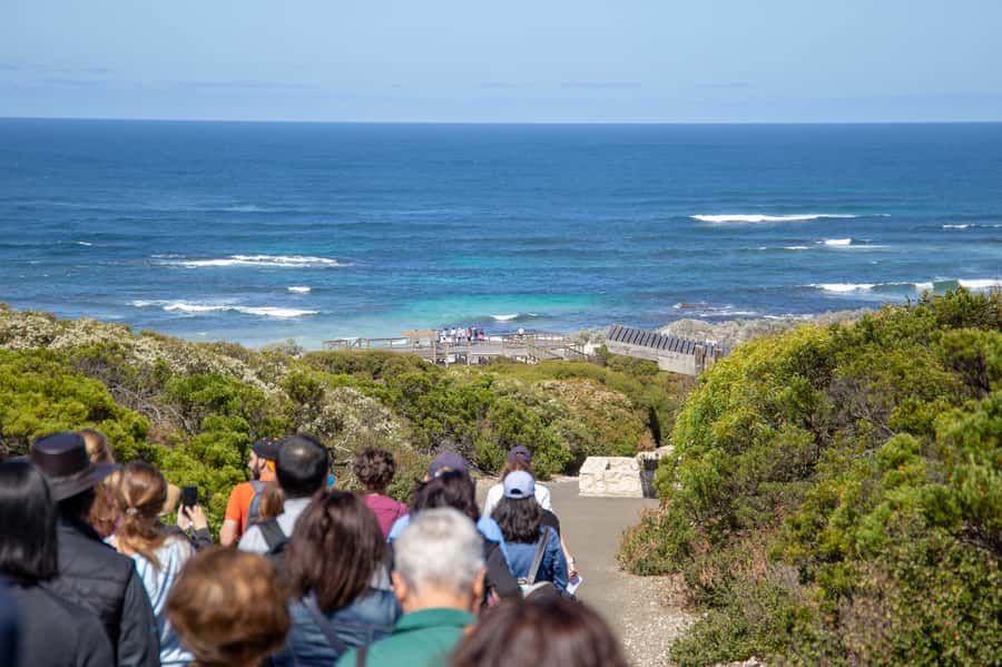 Kangaroo Island Full Day Experience by Ferry Including Lunch - Is $267 good value?