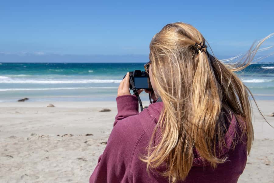 Kangaroo Island Full Day Experience by Ferry Including Lunch - Guides make or break a packed itinerary