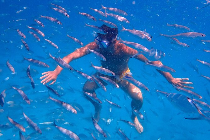 Lobos Island Ferry with Snorkel from Corralejo, Fuerteventura - Exploring Lobos at your own pace