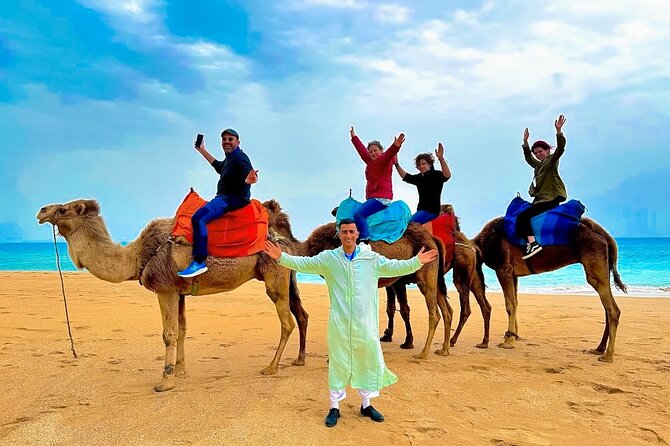 Luxury day in Tangier from Tarifa including ferry & camel ride …. - Quick take: what makes this day special