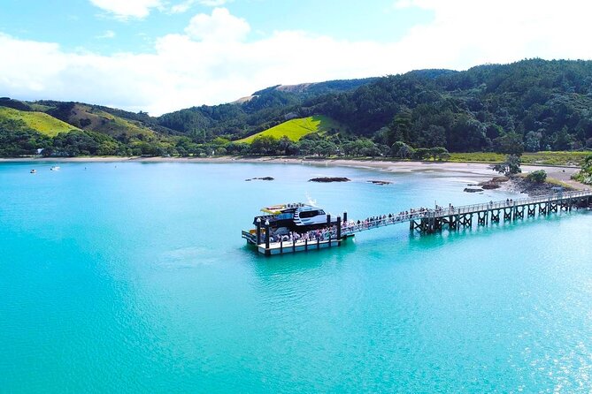 Man O' War Winery on Waiheke Island - Ferry from Auckland - The lawn, playground, and bay offer a different kind of winery day