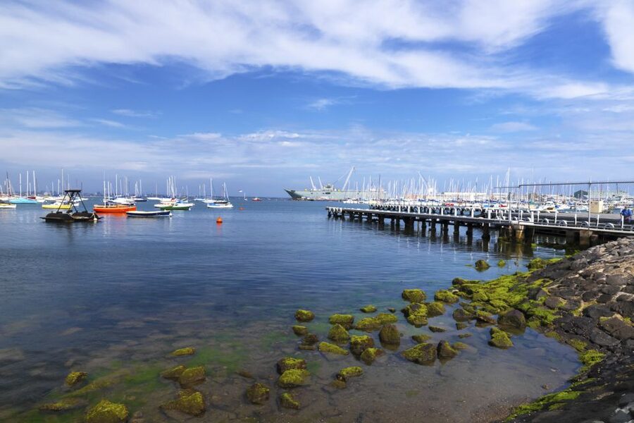 Melbourne: City and Williamstown Ferry Cruise - Timing, meeting point, and simple preparation