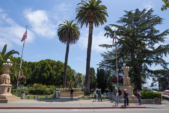 Muir Woods and Sausalito (Return by Bus or Ferry) - Picking the Right Departure Time