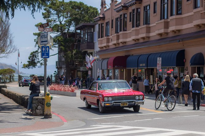Muir Woods and Sausalito (Return by Bus or Ferry) - Guides, Commentary, and the Bus Ride
