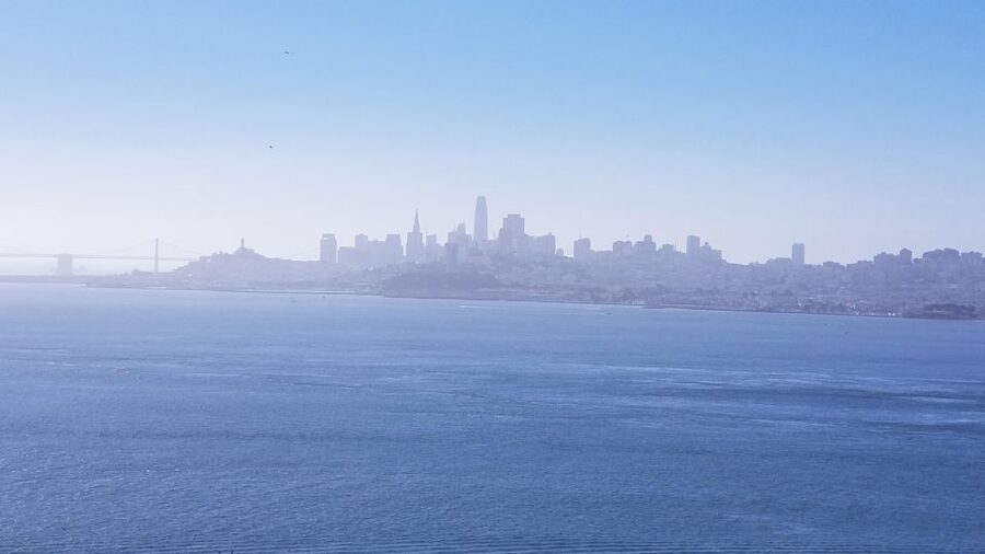 Muir Woods, Sausalito and Ferry back to Fisherman's Wharf - Who will like this experience most?