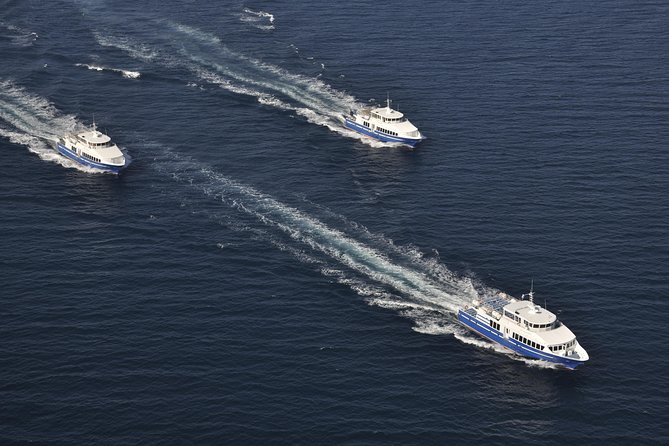 Nice to St Tropez Ferry Ticket and Cruise - How the $125.13 price works for you