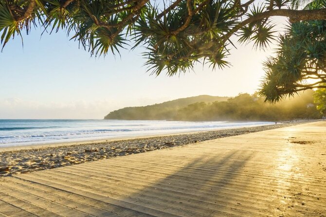 Noosa Sightseeing Adventure - Ferry Cruise, Ride and Kayak - Lake Weyba: calm water and stingrays