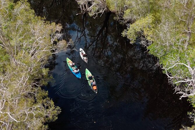 Noosa Sightseeing Adventure - Ferry Cruise, Ride and Kayak - Noosa Main Beach: a short coastal walk