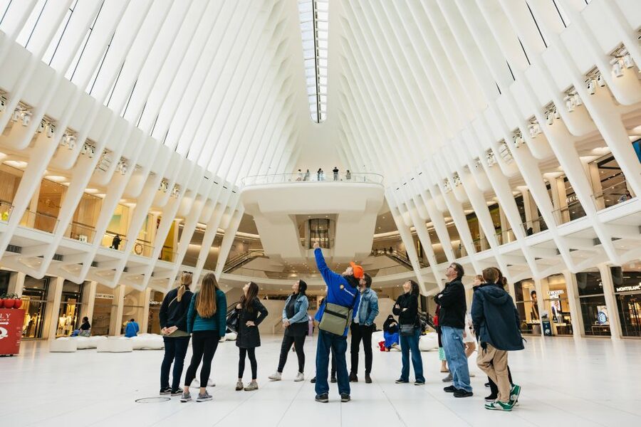 NYC: Wall Street Tour with 9/11 Memorial and Statue Ferry - Liberty Island and the optional Ellis Island visit