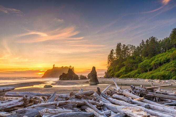 Olympic National Park Small Group Day Tour w/Scenic Ferry 2CanGo - Leaving Seattle by ferry at 6:45 a.m.