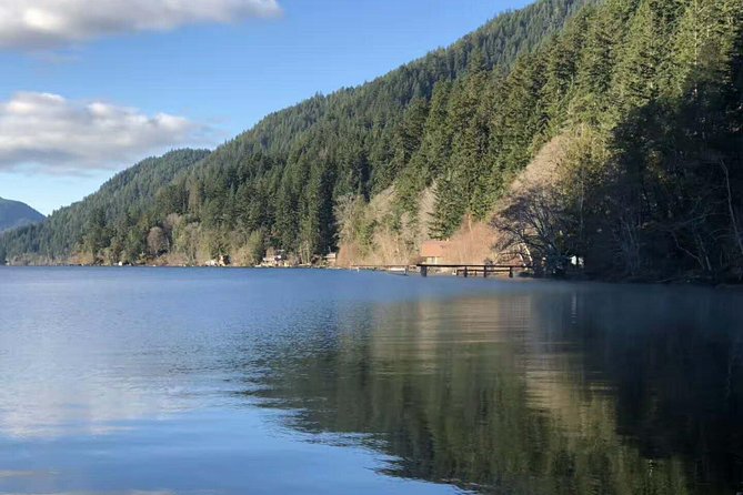 Olympic National Park Small Group Day Tour w/Scenic Ferry 2CanGo - Hurricane Ridge: mountain views at the top