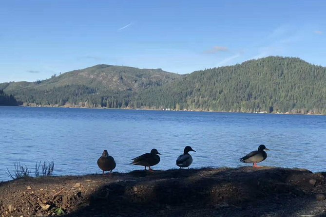 Olympic National Park Small Group Day Tour w/Scenic Ferry 2CanGo - Who should book this Olympic National Park day trip?