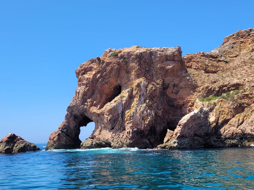 Peniche: Berlengas Island Round-Trip Ferry with Island Stop - Practical ways to make the four hours better