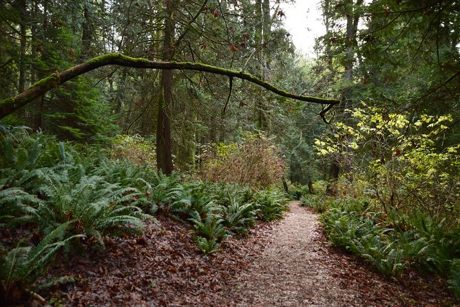 Photography, Hiking & Ferry to Bowen Island - Who will enjoy this outing most