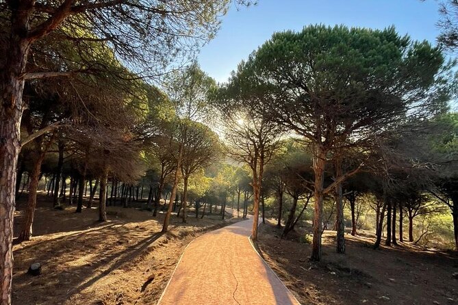 Private Tangier Tour from Ferry or Cruise Ship Including Lunch - A short pause at Mendoubia Garden