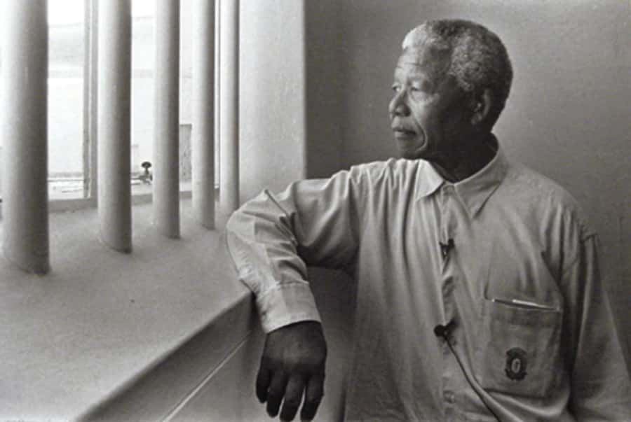 ROBBEN ISLAND MUSEUM TOUR, WITH OPTIONAL LAST MINUTE TICKETS - The ferry crossing and Cape Town views