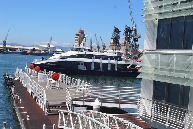Robben Island Nelson Mandela's Prison Museum + Township Tour incl Ferry Tickets - Who should choose this tour?