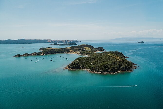 Rotoroa Island Ferry - from Auckland - The museum and Rotoroa’s unusual past