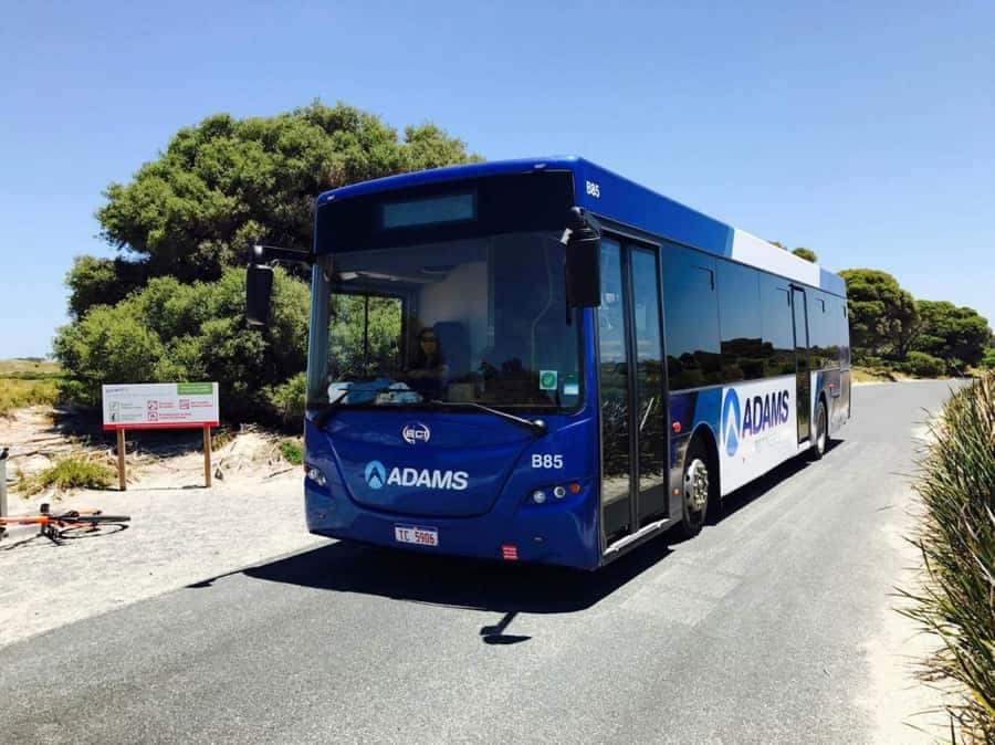 Rottnest Grand Island Package with Ferry, Tour & Light Lunch - Key points to know before you book
