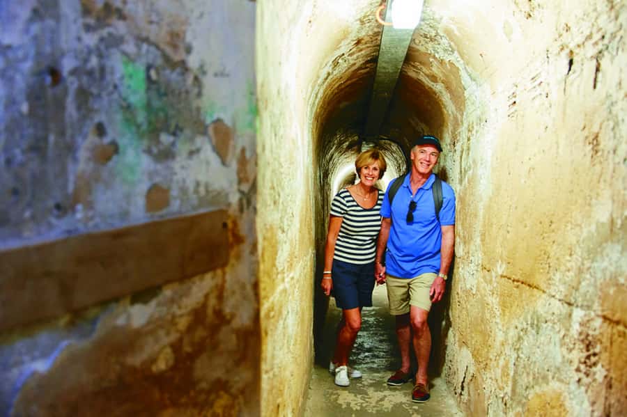 Rottnest Grand Island Package with Ferry, Tour & Light Lunch - Why this Rottnest day works so well for a first visit