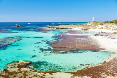Rottnest Grand Island Package with Ferry, Tour & Light Lunch