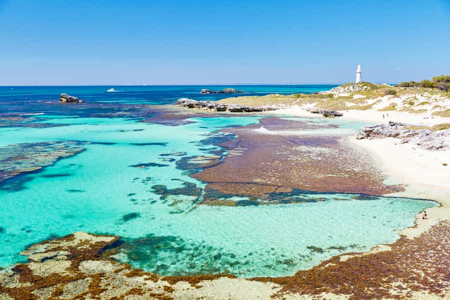 Rottnest Grand Island Package with Ferry, Tour & Light Lunch - Getting to Rottnest from Perth or Fremantle